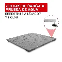 BAPEER-12-PT-02.webp