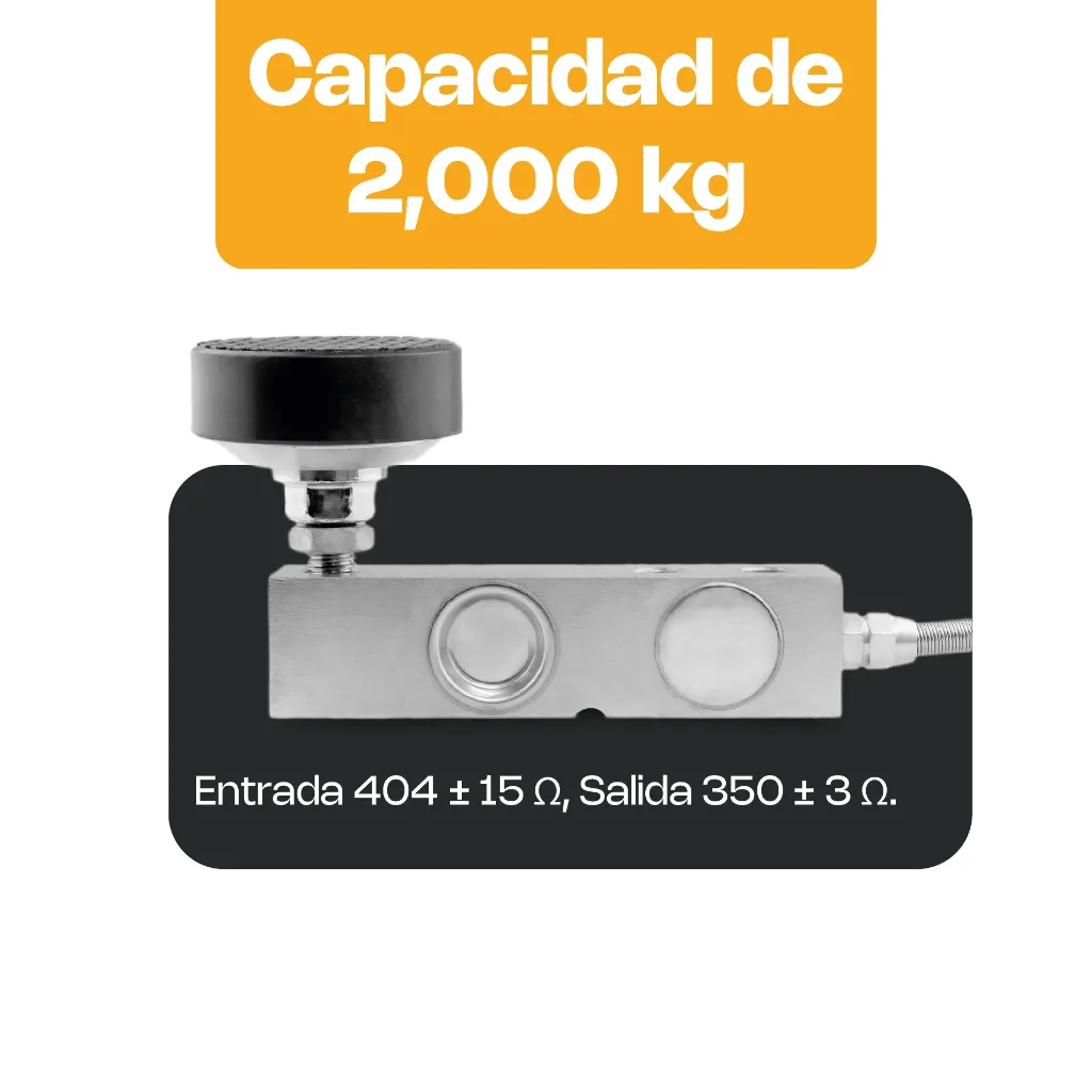 RH650__PT-04.webp