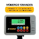 I-PES_PT02.webp