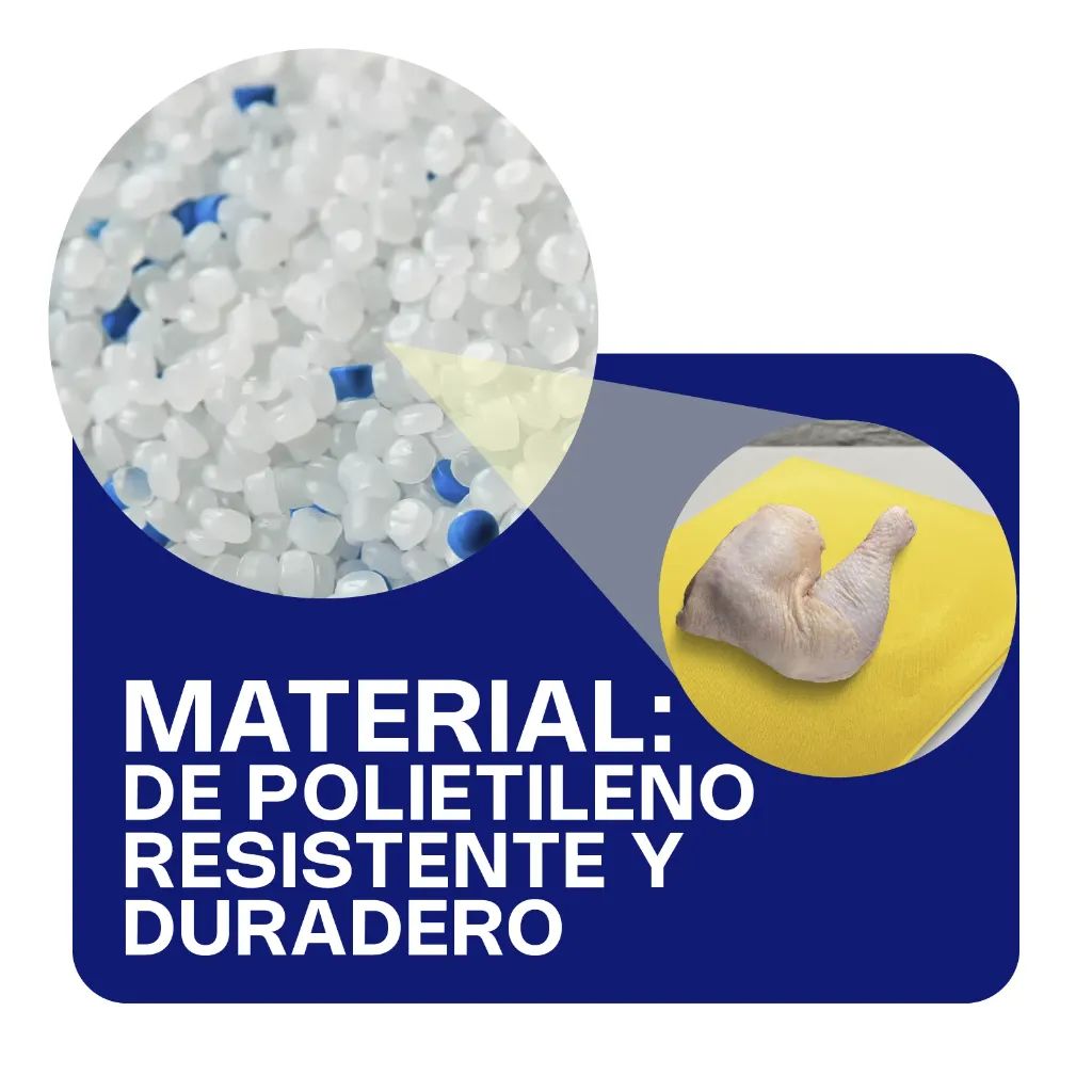 Mesa-de-trabajo-5-10-1.webp