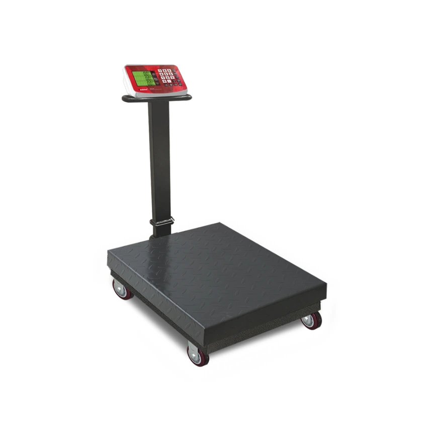Báscula de Plataforma Plegable 800 kg BAPLE-800